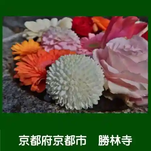 勝林寺(京都府)