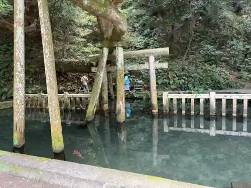 鹿島神宮(茨城県)