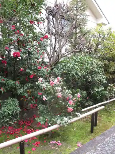 地蔵院（椿寺）の庭園