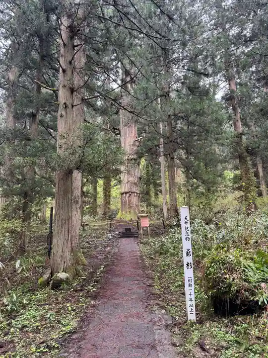 出羽神社(出羽三山神社)~三神合祭殿~(山形県)