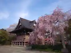 二十三夜尊 桂岸寺の庭園