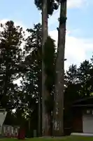 秋葉神社(高知県)