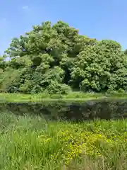 百舌鳥八幡宮(大阪府)