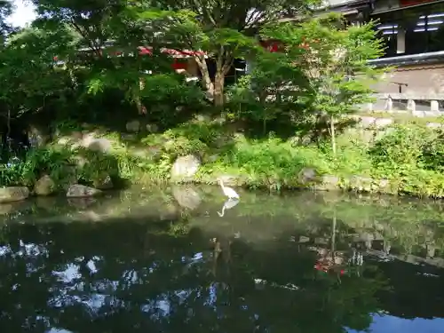 太宰府天満宮(福岡県)