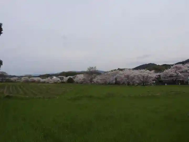 弘福寺(川原寺跡)(奈良県)