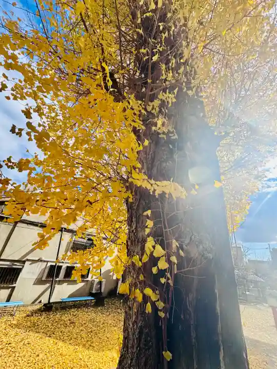 宇賀神社(京都府)