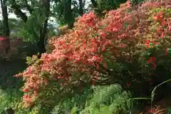 高屋敷稲荷神社の庭園