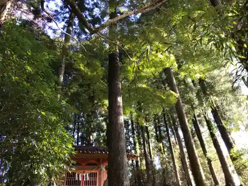 白山神社のその他建物