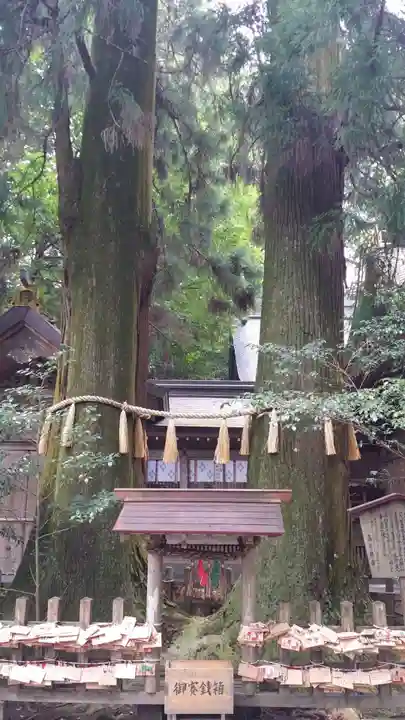 高千穂神社の自然