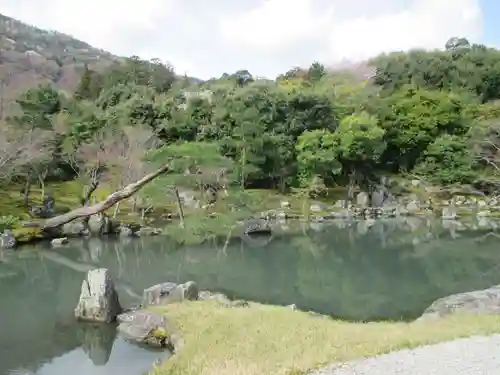 天龍寺の庭園