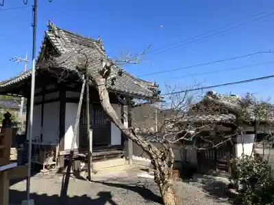 浄海寺(滋賀県)