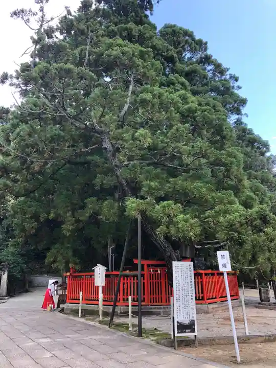 香椎宮のその他建物