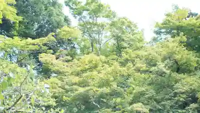 詩仙堂(丈山寺)(京都府)