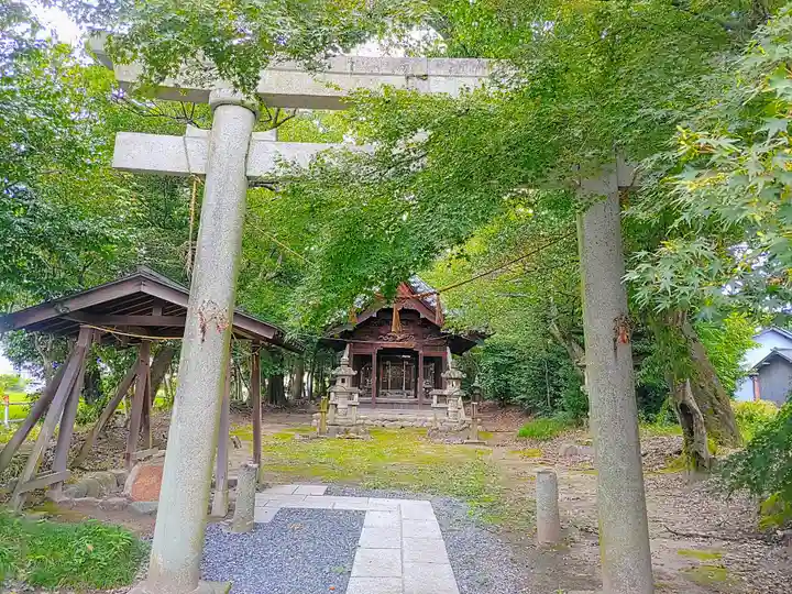 白山社(八幡社)の鳥居