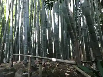 報国寺のその他建物