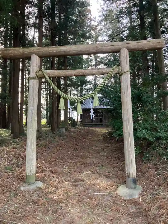 温泉神社(新宿)の鳥居