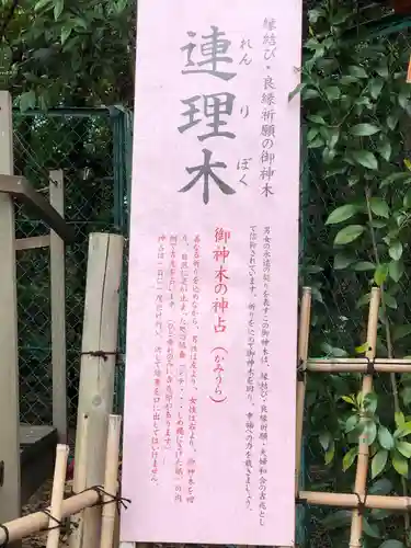 城山八幡宮の歴史