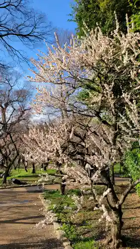 北野天満宮の{uncategorized: "未分類", other: "その他", undefined: "問題あり", building: "その他建物", grave: "お墓", sacred_gate: "鳥居", guardian: "狛犬", statue: "像", buddha: "仏像", history: "歴史", nature: "自然", garden: "庭園", animal: "動物", pagoda: "塔", temizu: "手水舎", mountain_gate: "山門・神門", sanctuary: "本殿・本堂", subordinate: "末社・摂社", art: "芸術", scenery: "景色", jizo: "地蔵", ema: "絵馬", goshuin: "御朱印", omikuji: "おみくじ", items: "授与品その他", amulet: "お守り", goshuincho: "御朱印帳", eats: "食事", festival: "お祭り", votive_dance: "神楽", shichigosan: "七五三参", wedding: "結婚式", experience: "体験その他", initially: "初詣", around: "周辺", anti_infection: "感染症対策"}