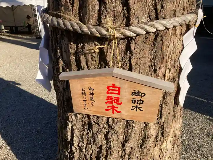 田無神社(東京都)