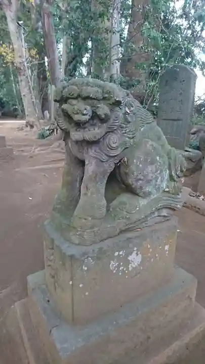 七百餘所神社 の狛犬