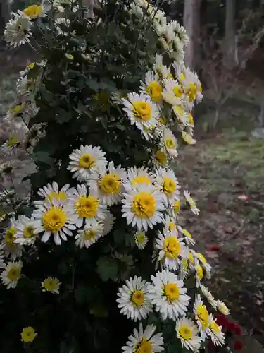 大宮温泉神社(栃木県)