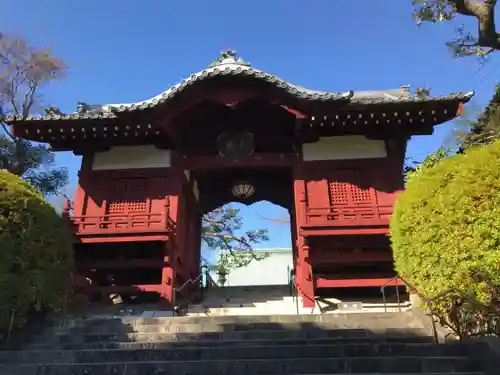 護国寺の山門