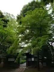 妙法寺の山門