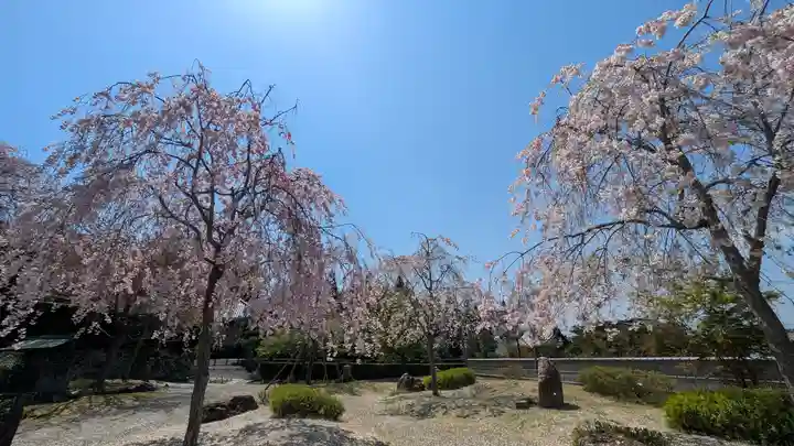 圓光寺(京都府)