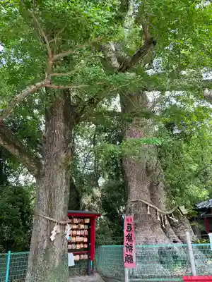七狩長田貫神社の自然