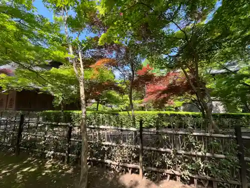 平林寺(埼玉県)