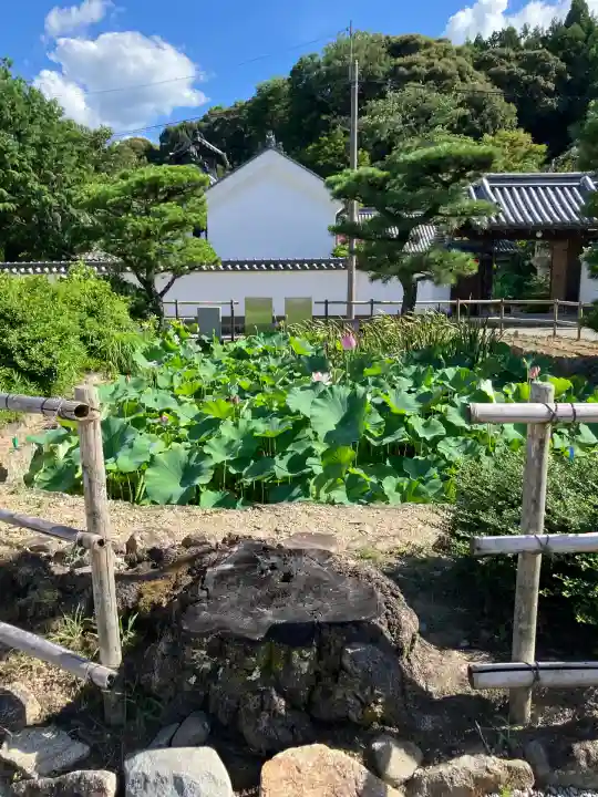 當麻寺(奈良県)