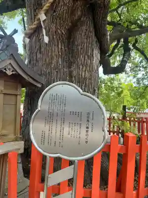 百舌鳥八幡宮の{uncategorized: "未分類", other: "その他", undefined: "問題あり", building: "その他建物", grave: "お墓", sacred_gate: "鳥居", guardian: "狛犬", statue: "像", buddha: "仏像", history: "歴史", nature: "自然", garden: "庭園", animal: "動物", pagoda: "塔", temizu: "手水舎", mountain_gate: "山門・神門", sanctuary: "本殿・本堂", subordinate: "末社・摂社", art: "芸術", scenery: "景色", jizo: "地蔵", ema: "絵馬", goshuin: "御朱印", omikuji: "おみくじ", items: "授与品その他", amulet: "お守り", goshuincho: "御朱印帳", eats: "食事", festival: "お祭り", votive_dance: "神楽", shichigosan: "七五三参", wedding: "結婚式", experience: "体験その他", initially: "初詣", around: "周辺", anti_infection: "感染症対策"}