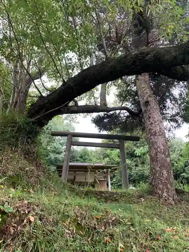 白幡神社の鳥居