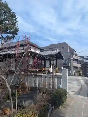 白山神社(東京都)