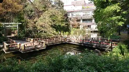 東郷神社の庭園