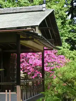 梅宮大社のその他建物