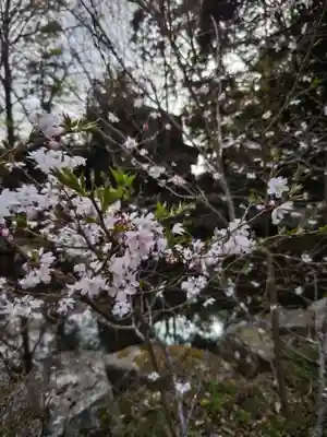 相馬中村神社(福島県)