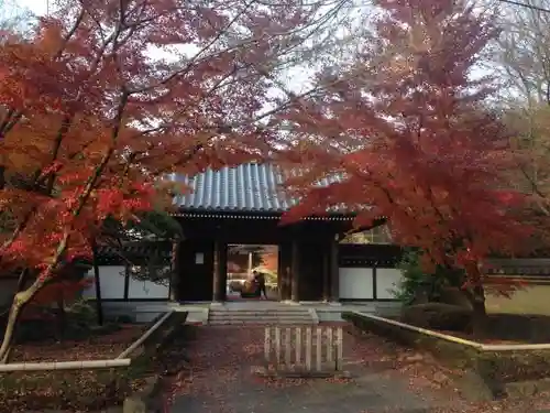 観泉寺の山門