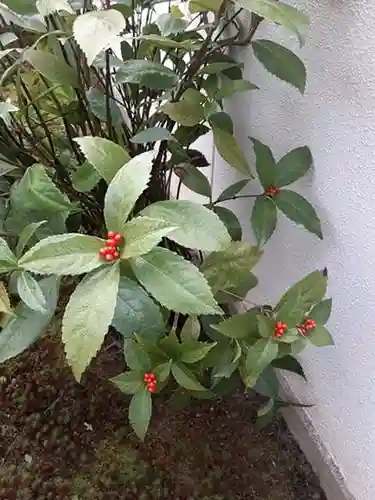 西方山極楽寺の自然