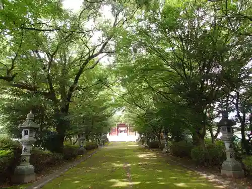 速谷神社の自然