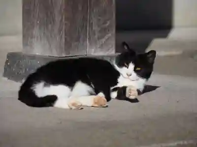 今市報徳二宮神社(栃木県)