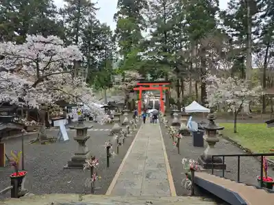 丹生都比売神社(和歌山県)