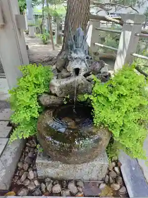 松戸神社(千葉県)