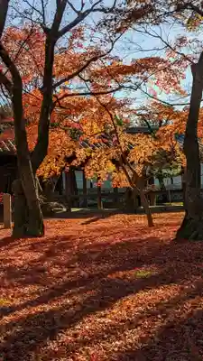 東福禅寺(東福寺)(京都府)