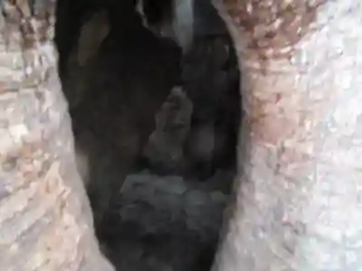 熊野那智大社のその他建物