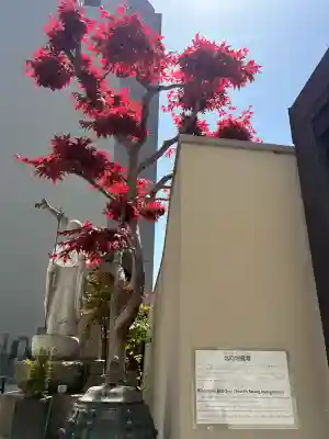 智源寺の{uncategorized: "未分類", other: "その他", undefined: "問題あり", building: "その他建物", grave: "お墓", sacred_gate: "鳥居", guardian: "狛犬", statue: "像", buddha: "仏像", history: "歴史", nature: "自然", garden: "庭園", animal: "動物", pagoda: "塔", temizu: "手水舎", mountain_gate: "山門・神門", sanctuary: "本殿・本堂", subordinate: "末社・摂社", art: "芸術", scenery: "景色", jizo: "地蔵", ema: "絵馬", goshuin: "御朱印", omikuji: "おみくじ", items: "授与品その他", amulet: "お守り", goshuincho: "御朱印帳", eats: "食事", festival: "お祭り", votive_dance: "神楽", shichigosan: "七五三参", wedding: "結婚式", experience: "体験その他", initially: "初詣", around: "周辺", anti_infection: "感染症対策"}