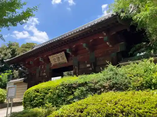 護国寺の山門・神門