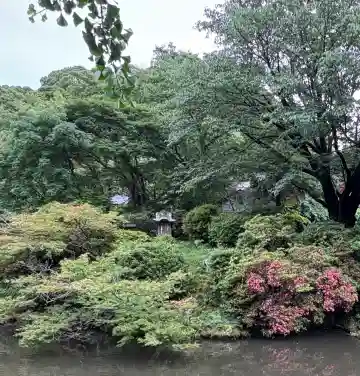 厳島神社の本殿・本堂