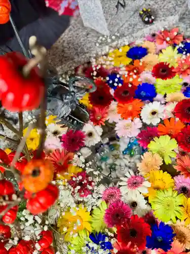 札幌諏訪神社の手水舎