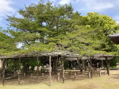 蓮久寺(千葉県)